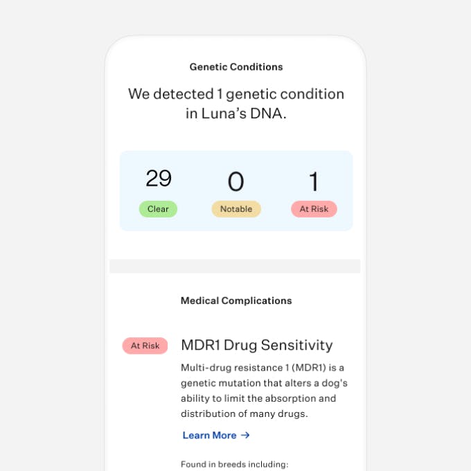 Dog DNA test health results