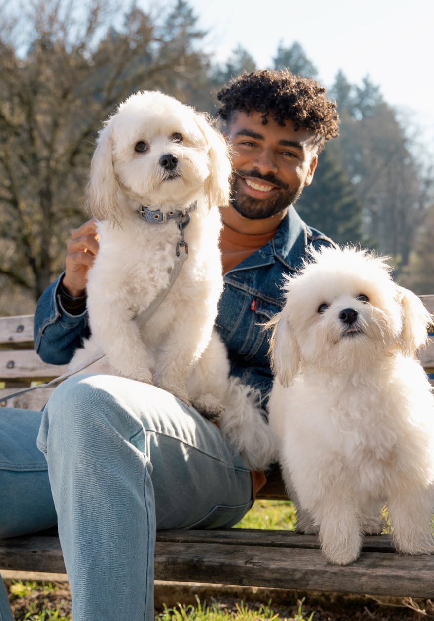 A man with two white dogs sitting on a bench smiling at the camera.