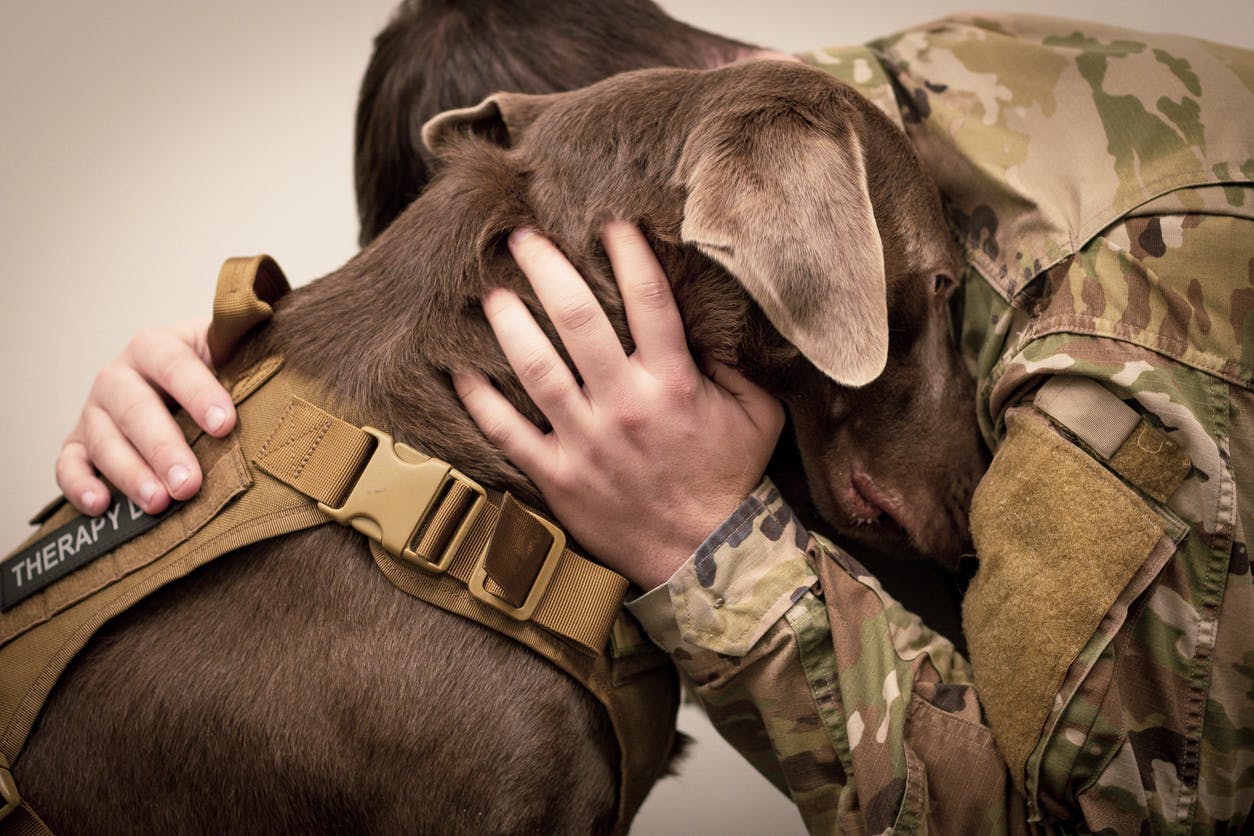 Military member hugging a therapy dog.