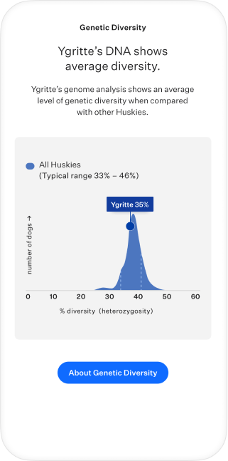 Dog DNA test genetic diversity score