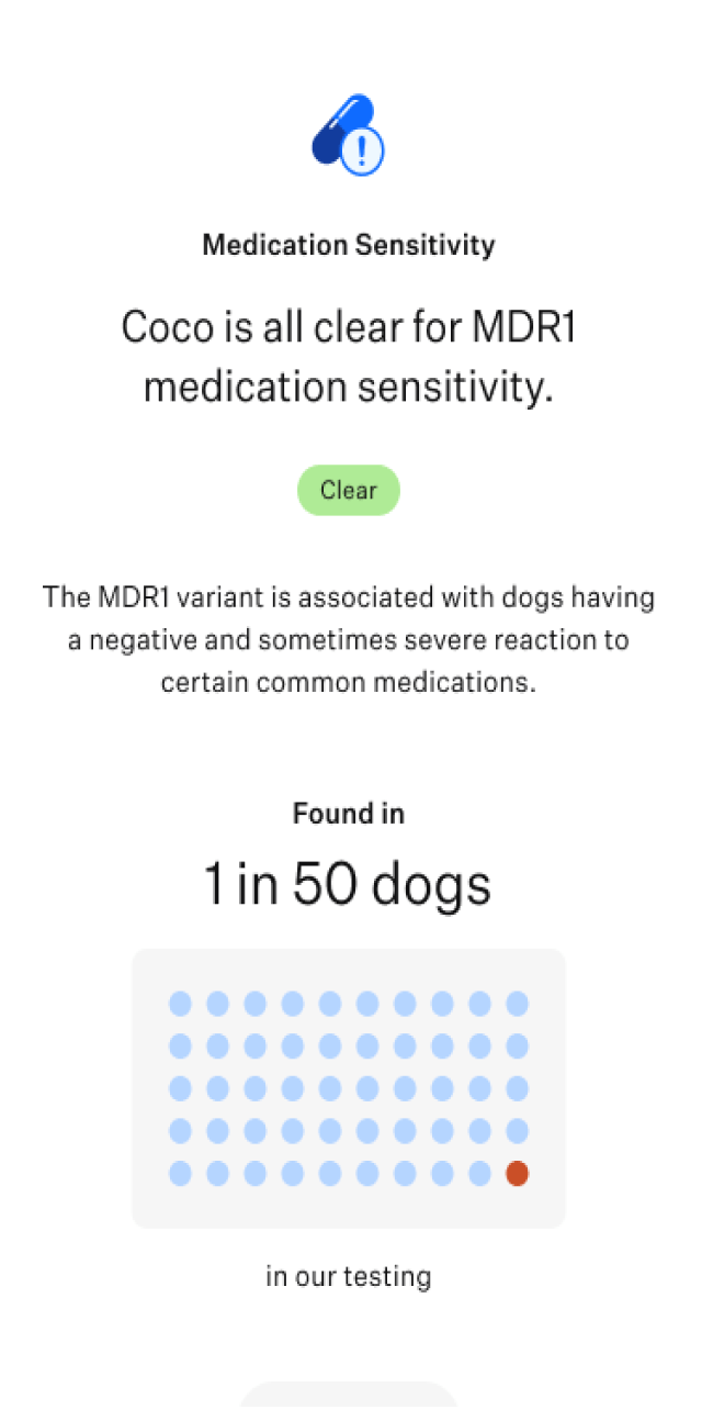 appmock-dog-healthdiscovery-coco@2x.png