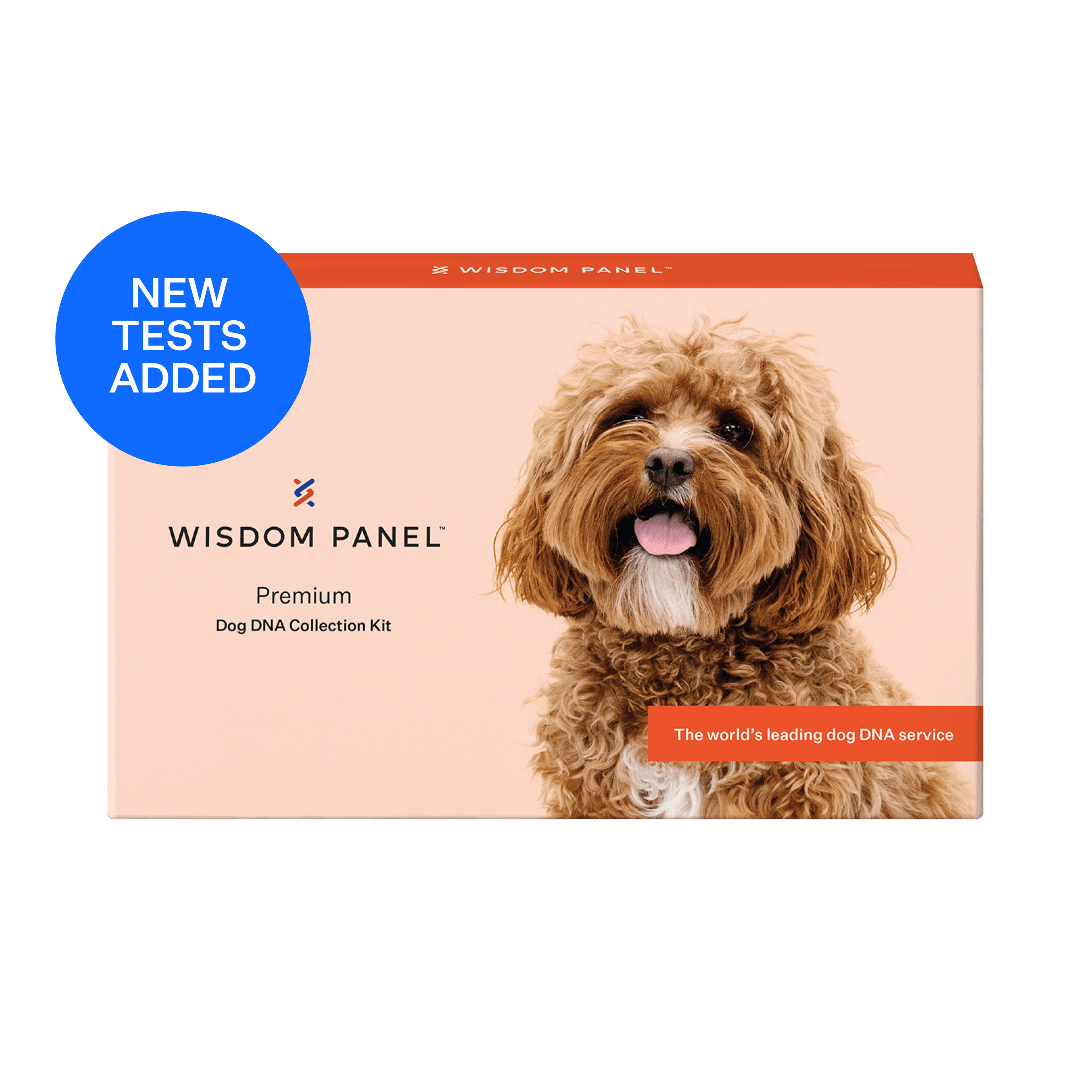 Wisdom Panel Premium dog DNA test collection kit