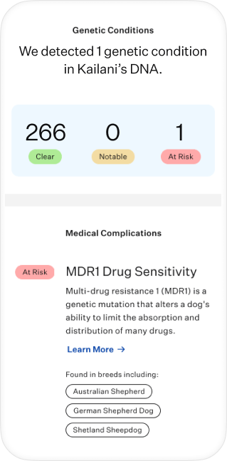 Dog DNA test health screening