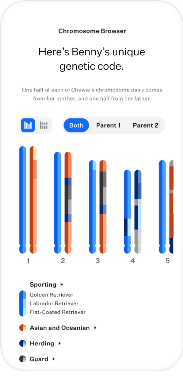 Chromosome browser DNA results